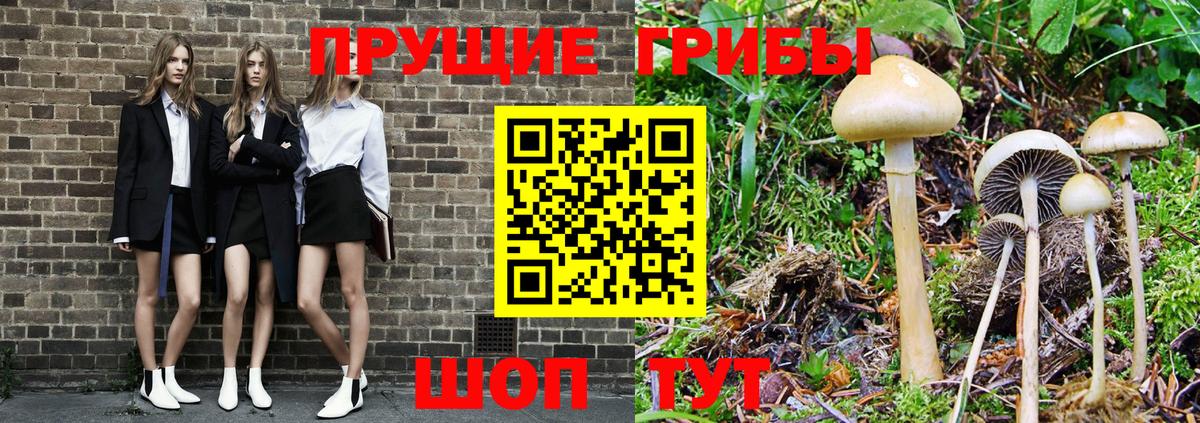 Псилоцибиновые грибы Cubensis  Вход с VPN  Кстово  Псилоцибиновые грибы MAGIC MUSHROOMS 