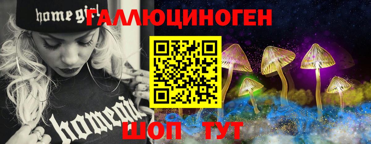 Галлюциногенные грибы Cubensis Кстово